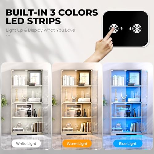 Display Cabinet with Glass Doo - Glass Cabinet Display ulasan dan harga